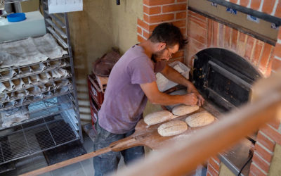 GAEC Pietometi, Paysan boulanger